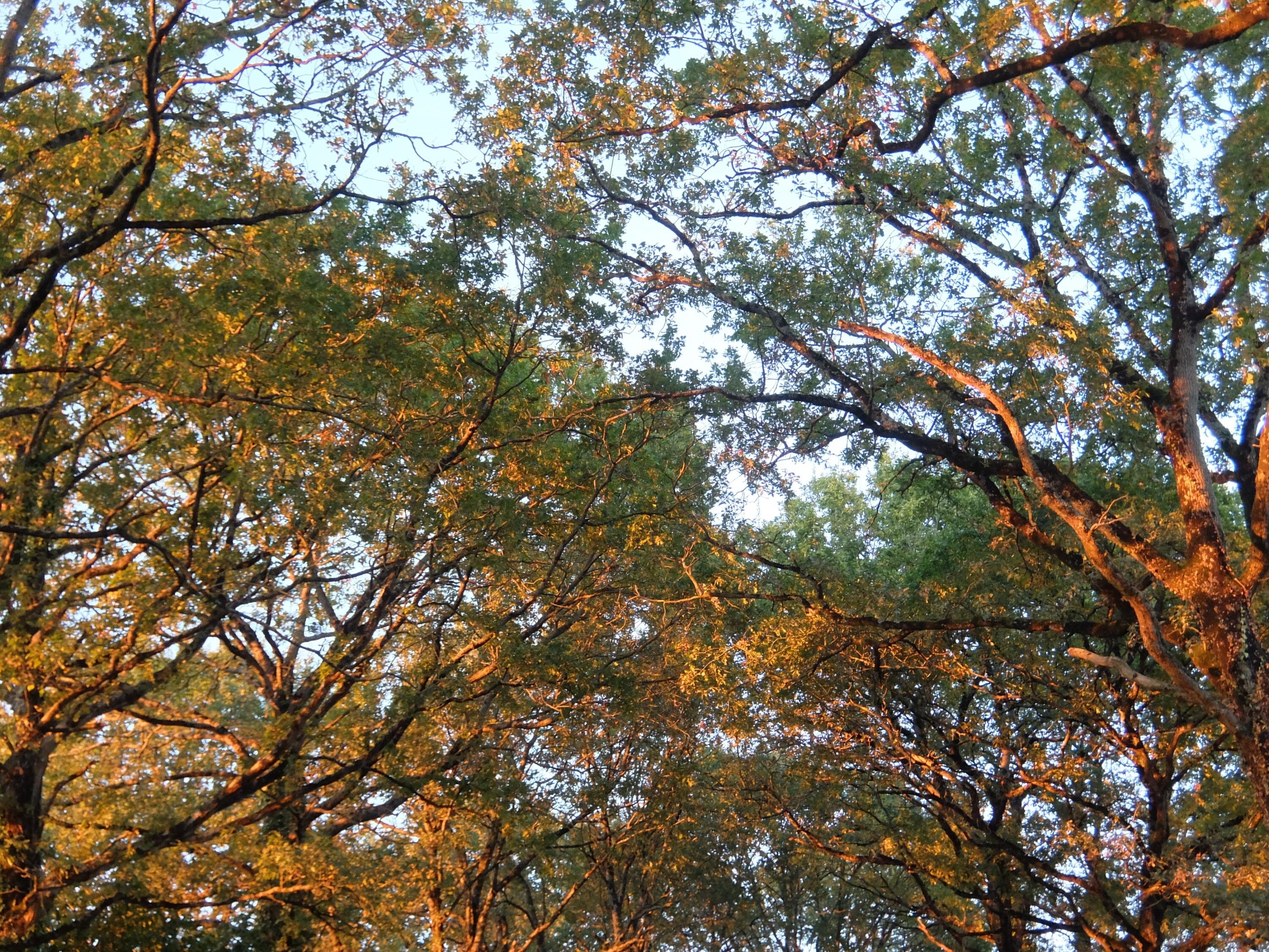 Sandrine Larramendy cover photo