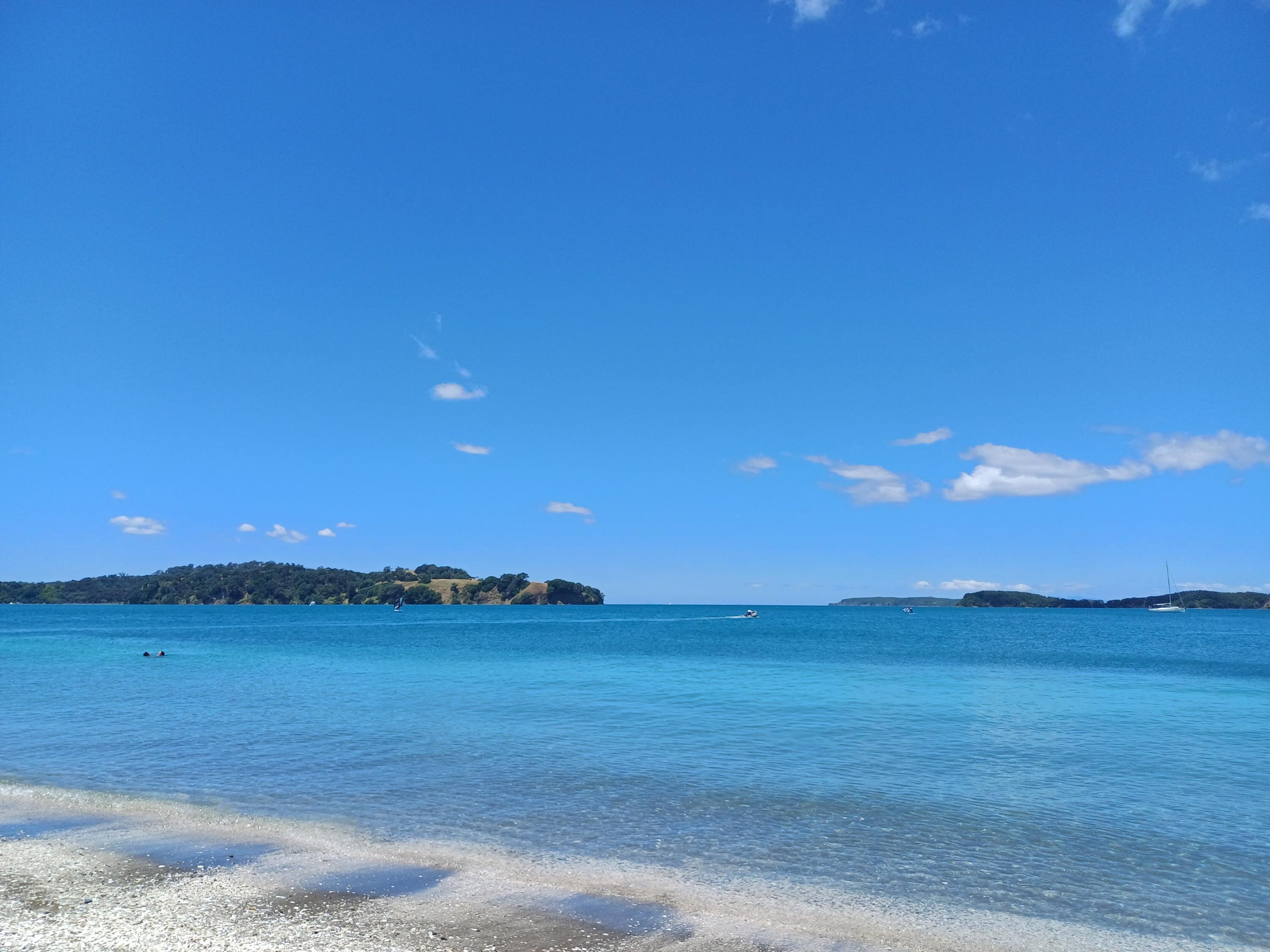 Berit Thomalla cover photo