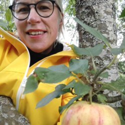 Kaisa Koskelin avatar