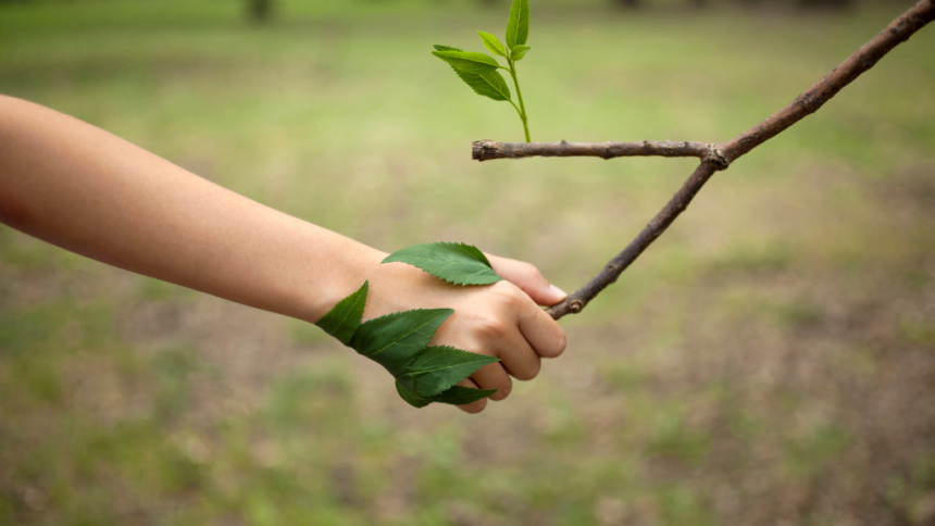 Nature is Good Medicine