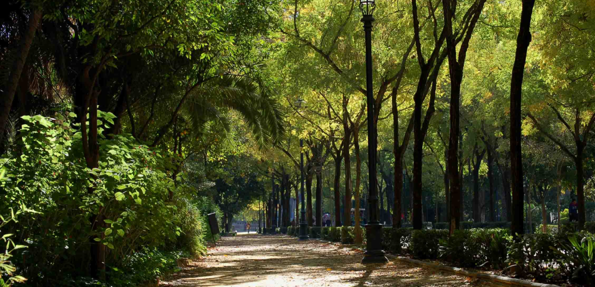 How cell phones can help us make the most of urban green space