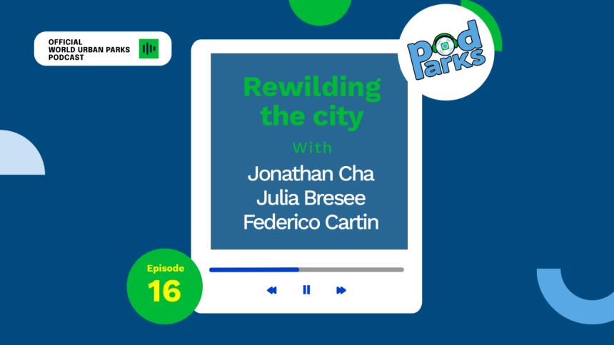 Rewilding the city