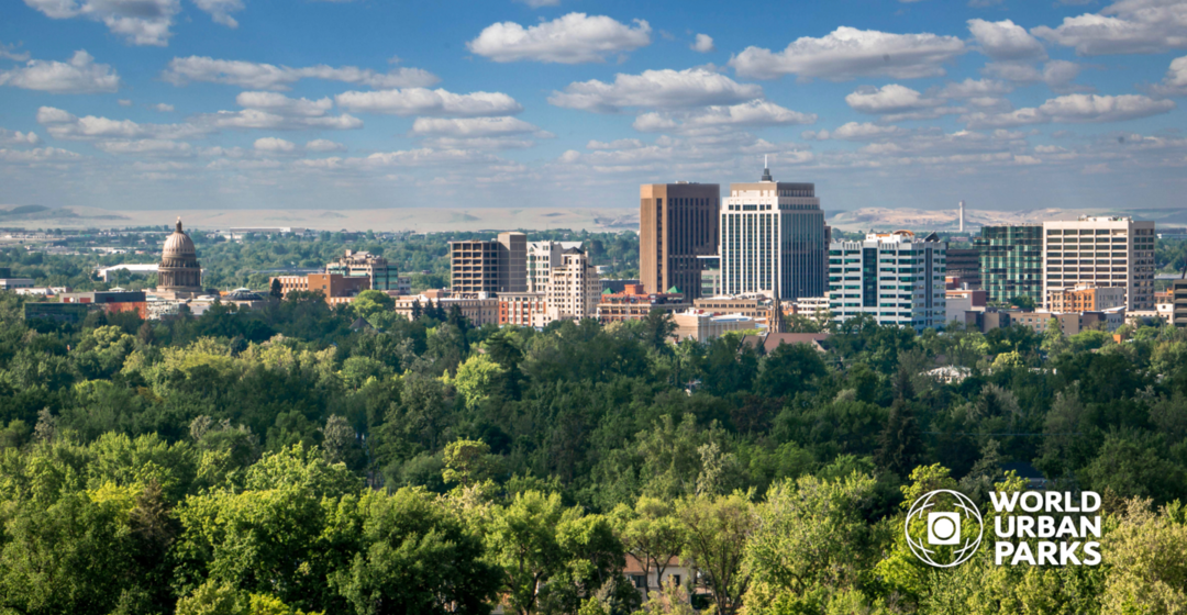 Planting more trees in cities could cut deaths from summer heat, says study