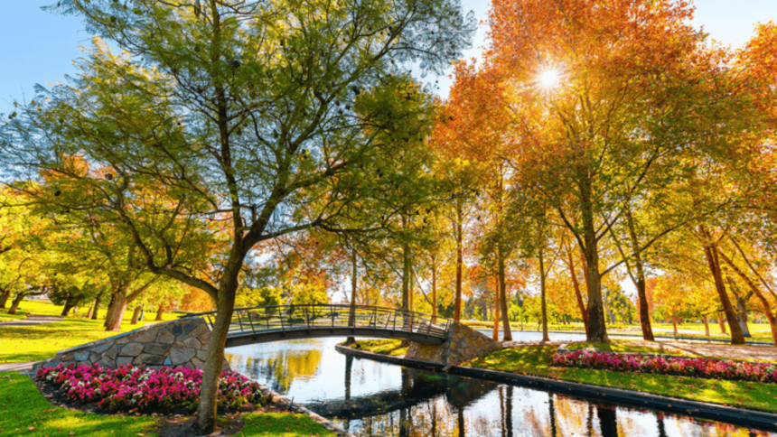 Why urban green spaces are as important as natural reserves