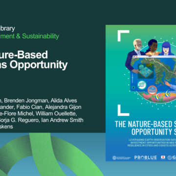 The Nature-Based Solutions Opportunity Scan The Nature-Based Solutions Opportunity Scan